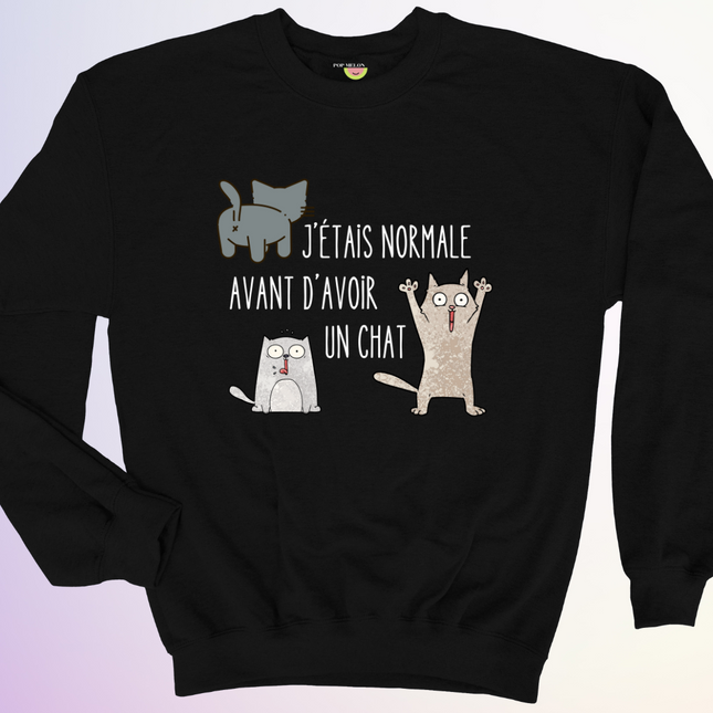 CREWNECK / AVANT D'AVOIR UN CHAT