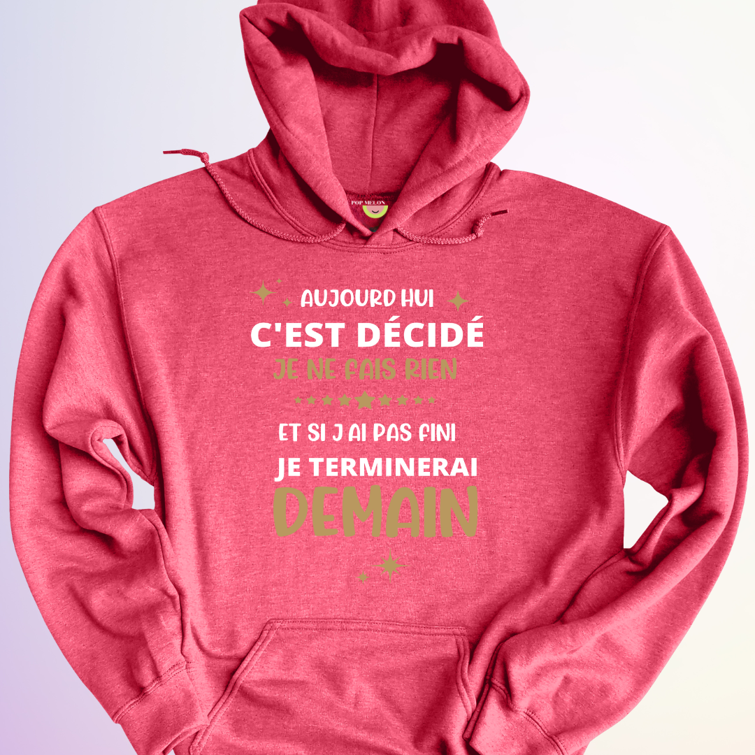 HOODIE / AUJOURD'HUI JE NE FAIS RIEN