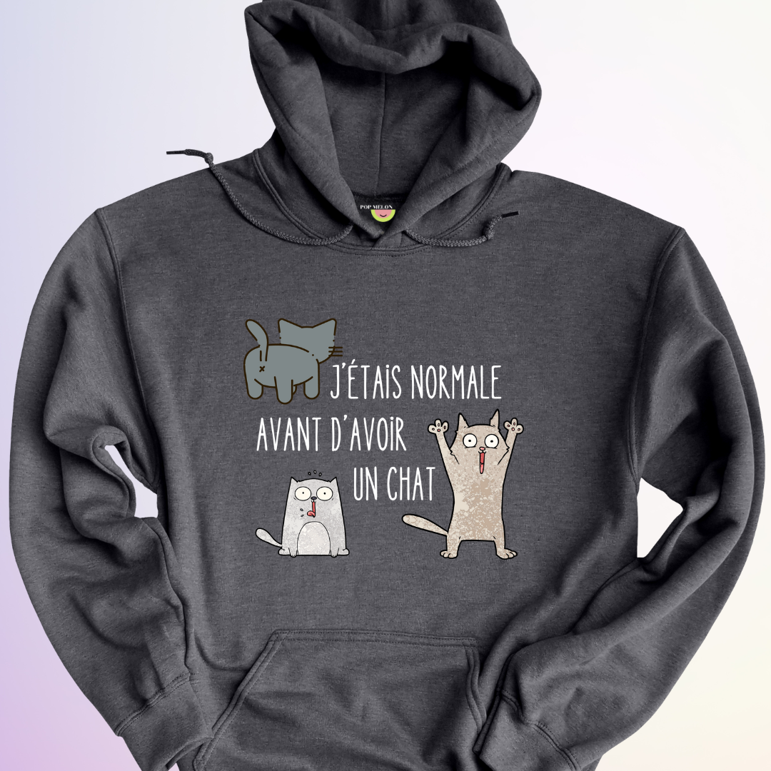 HOODIE / AVANT D'AVOIR UN CHAT