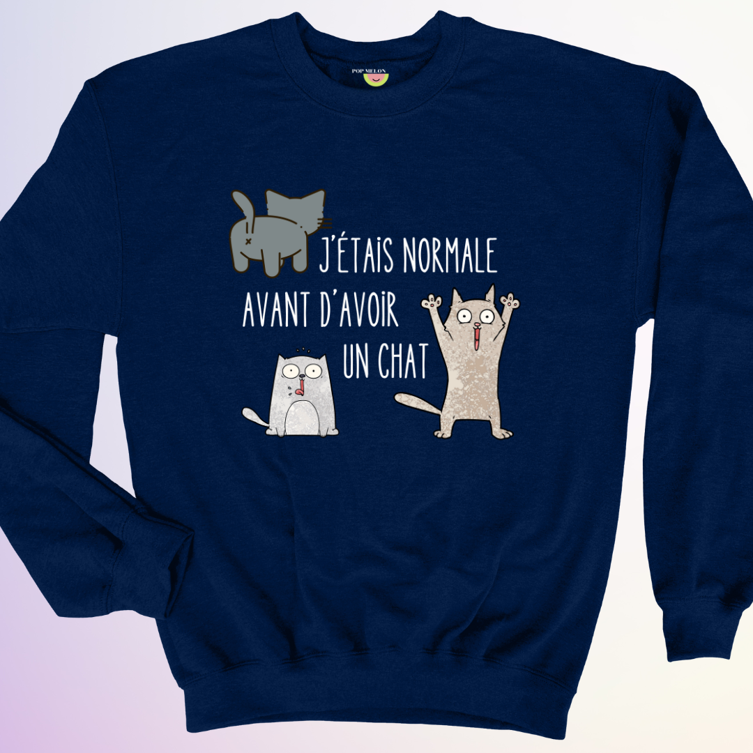 CREWNECK / AVANT D'AVOIR UN CHAT