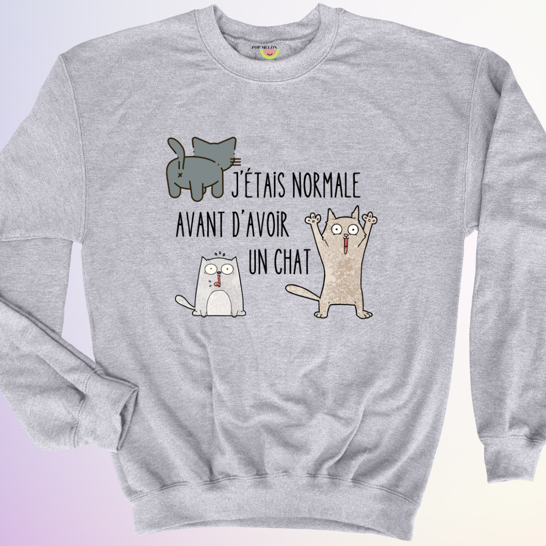 CREWNECK / AVANT D'AVOIR UN CHAT