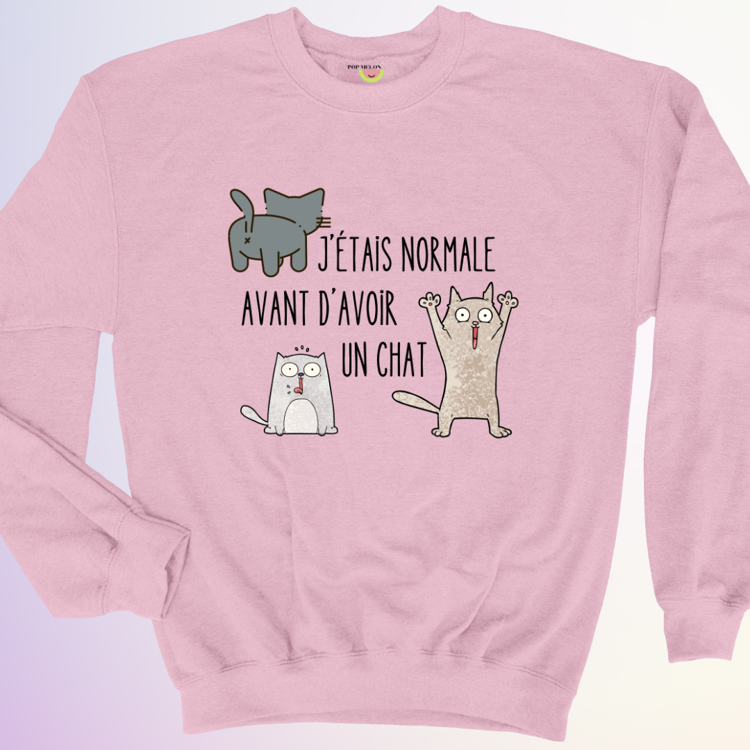 CREWNECK / AVANT D'AVOIR UN CHAT