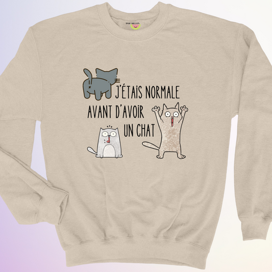 CREWNECK / AVANT D'AVOIR UN CHAT