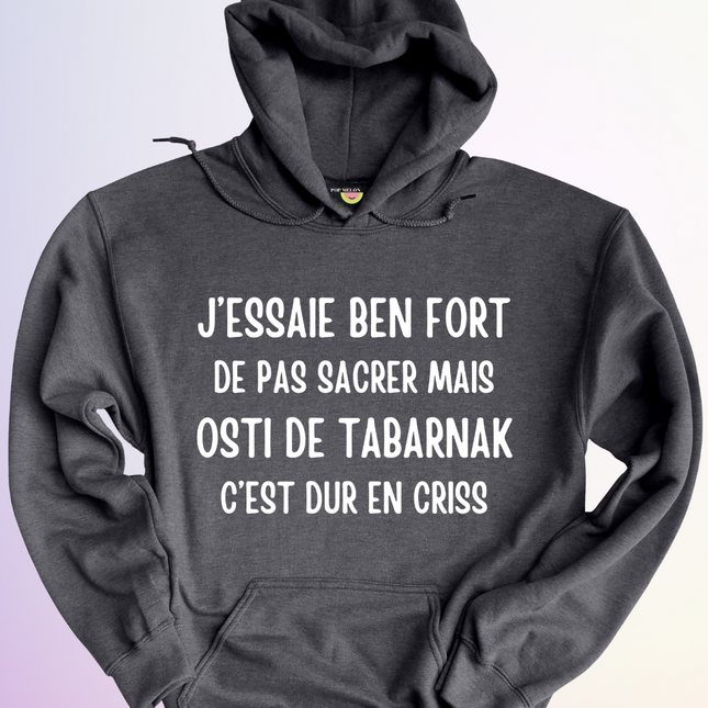 HOODIE / J'ESSAIE BEN FORT