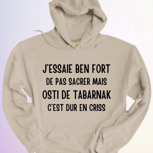 HOODIE / J'ESSAIE BEN FORT