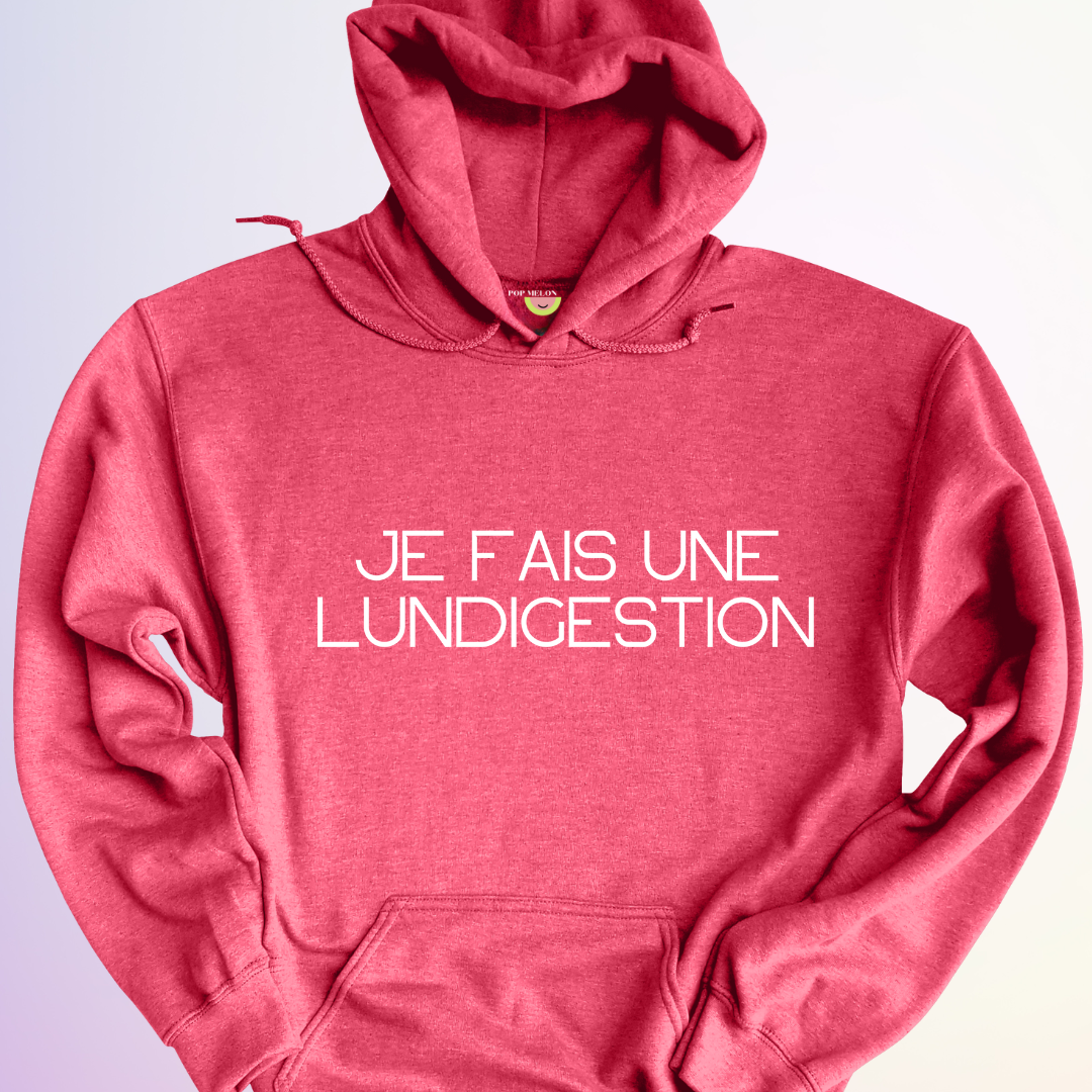 HOODIE / LUNDIGESTION