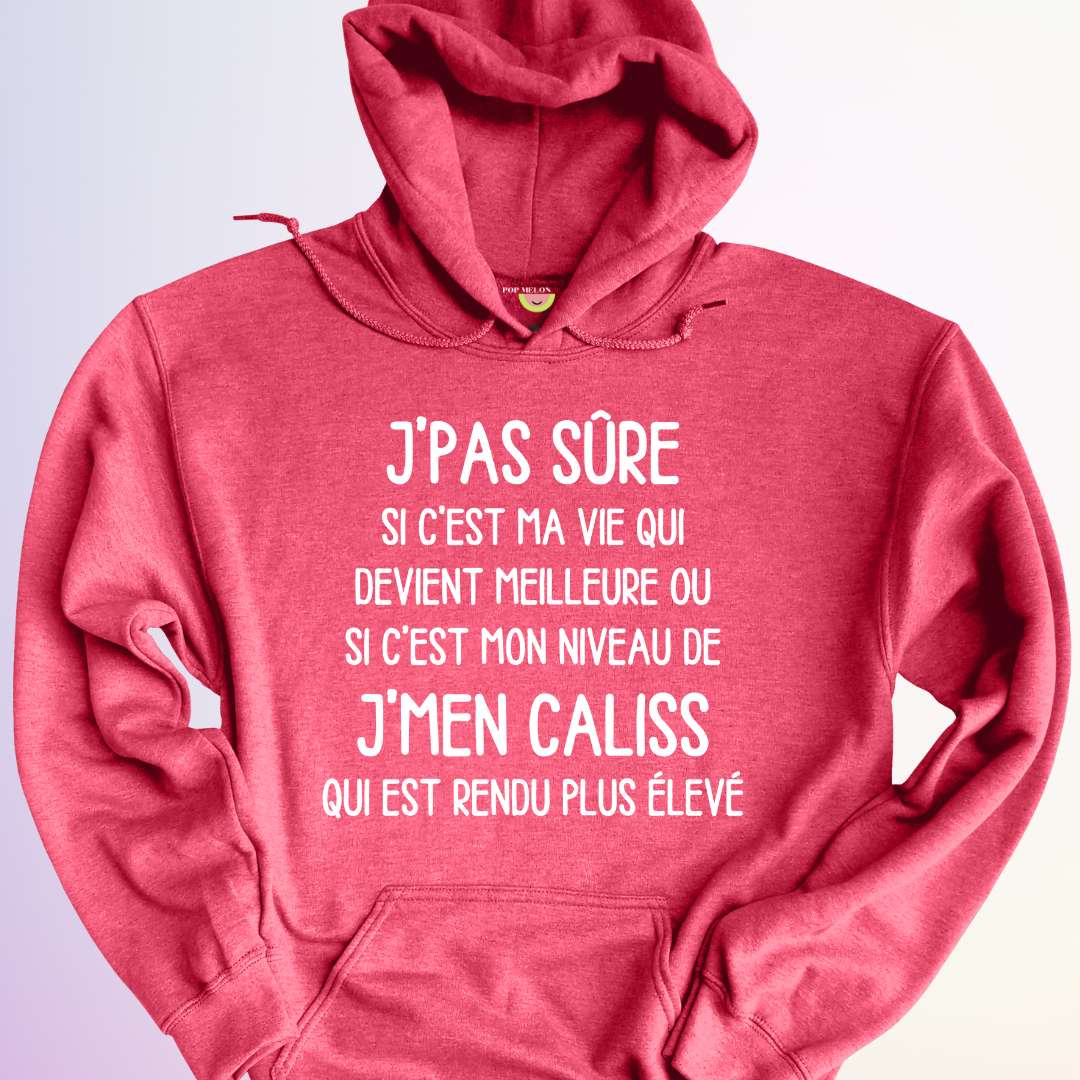 HOODIE / MA VIE DEVIENT MEILLEURE